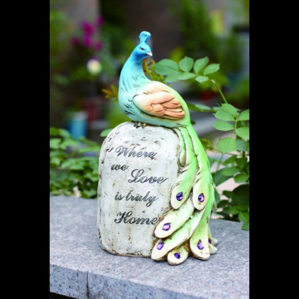 NWT Peacock on stone indoors outdoors P4623